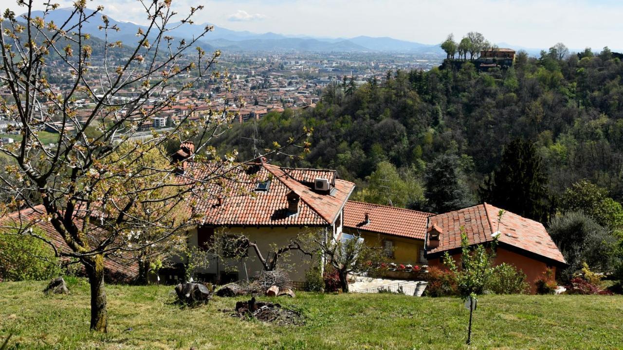 Il Giardino Di Berbech Citta Alta-Ulivo Apartment Bergamo Ngoại thất bức ảnh